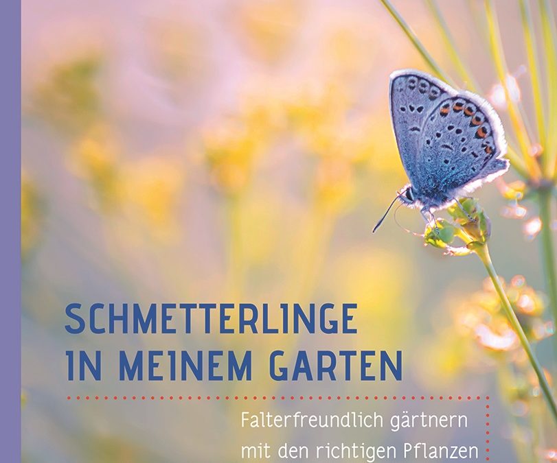 MDR Garten Buch des Monats: „Schmetterlinge in meinem Garten“